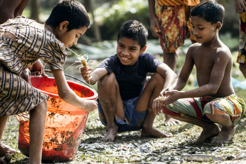 Children sorting out shrimps in Khulna Bangladesh.
Credit: Felix ClayDuckrabbit