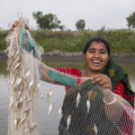 A woman with fish caught using gill net in Bangladesh. Photo by Md. Masudur Rahaman (WorldFish)