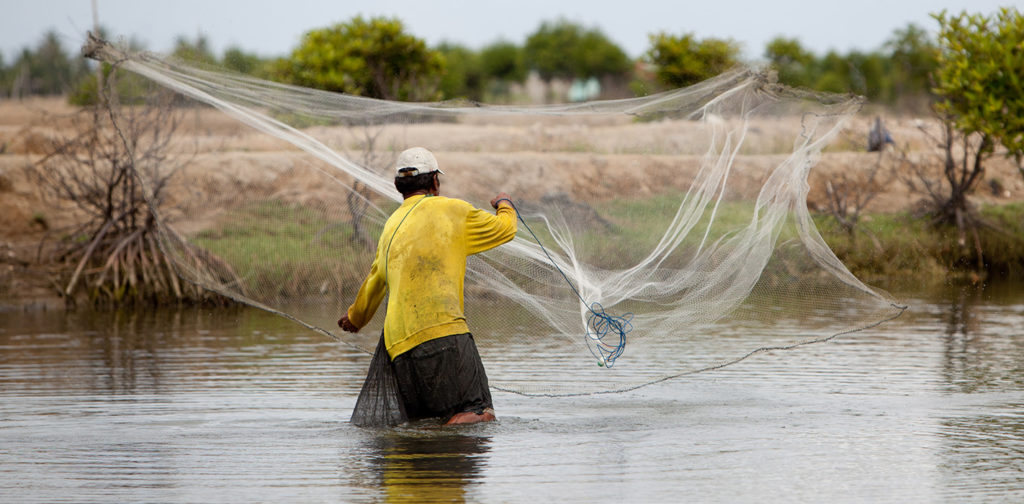 Photographs of Worldfish's aquaculture projects in the Aceh region of Indonesia - January 2012.